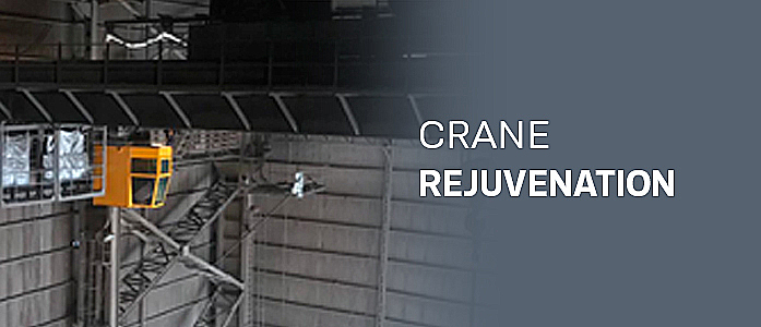 crane rejuvenation